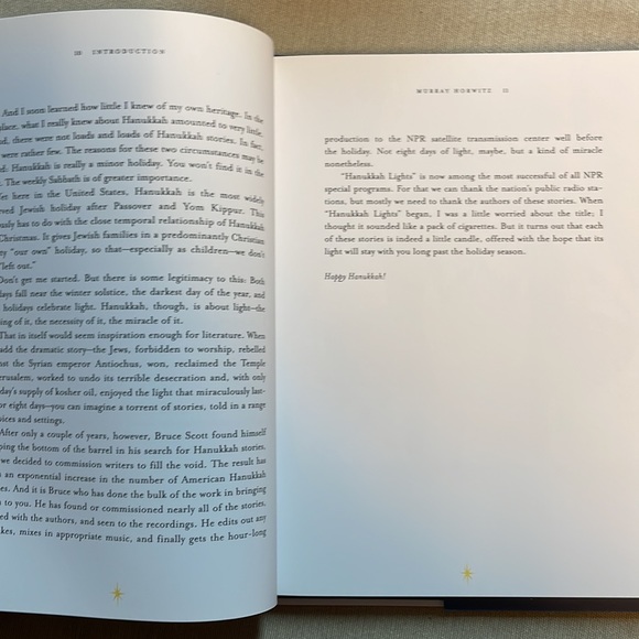 🌈2/$8  Hanukkah Lights: Stories of the Season - Picture 11 of 13